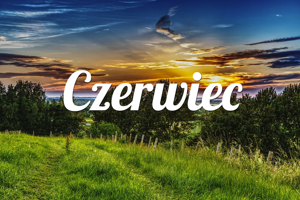 Byk Czerwiec 2025