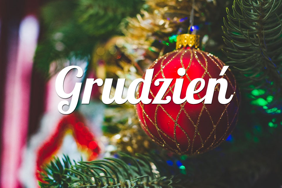 Byk Grudzień 2025