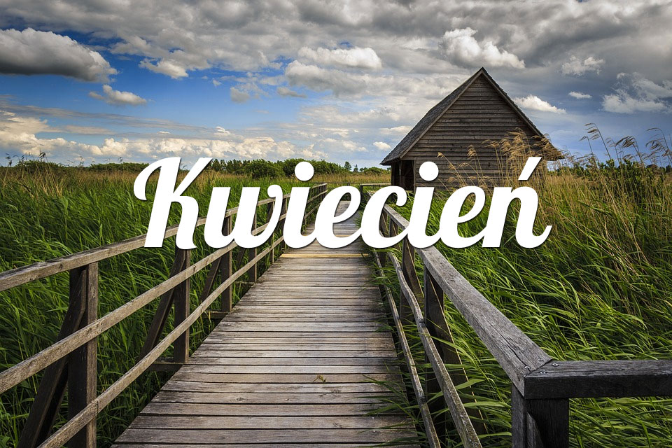 Byk Kwiecień 2025
