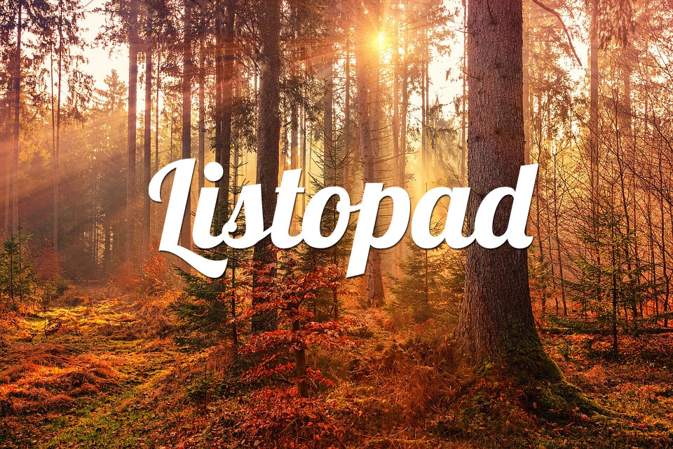 Byk Listopad 2025