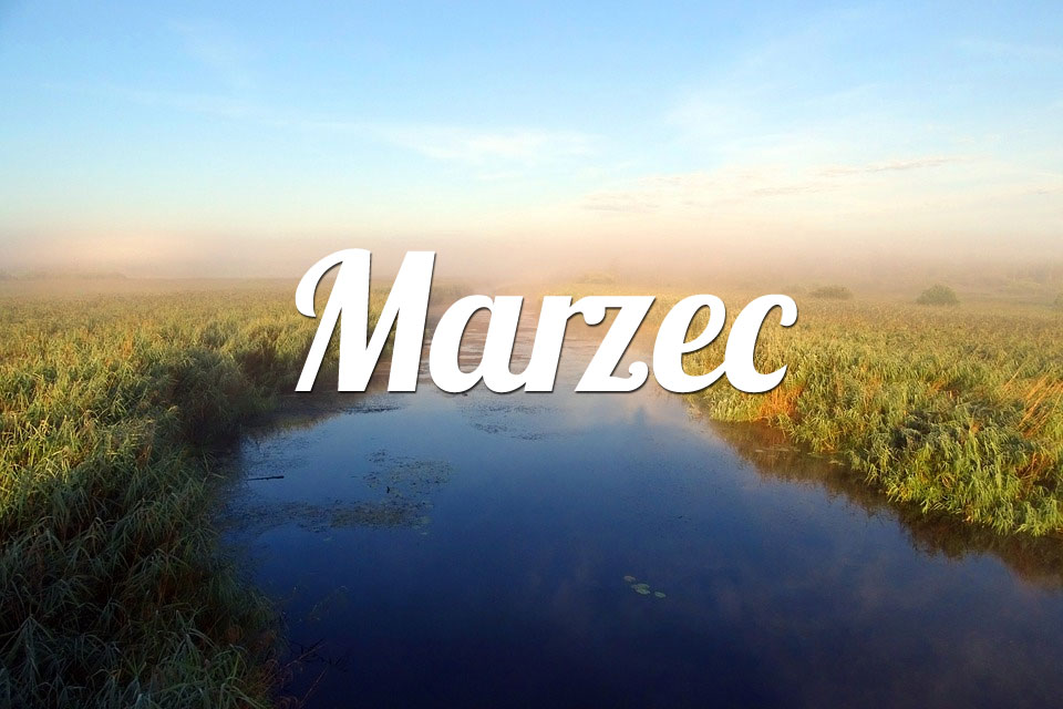 Byk Marzec 2025