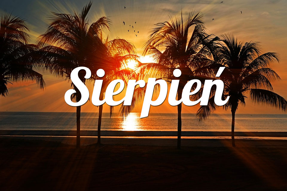 Byk Sierpień 2025