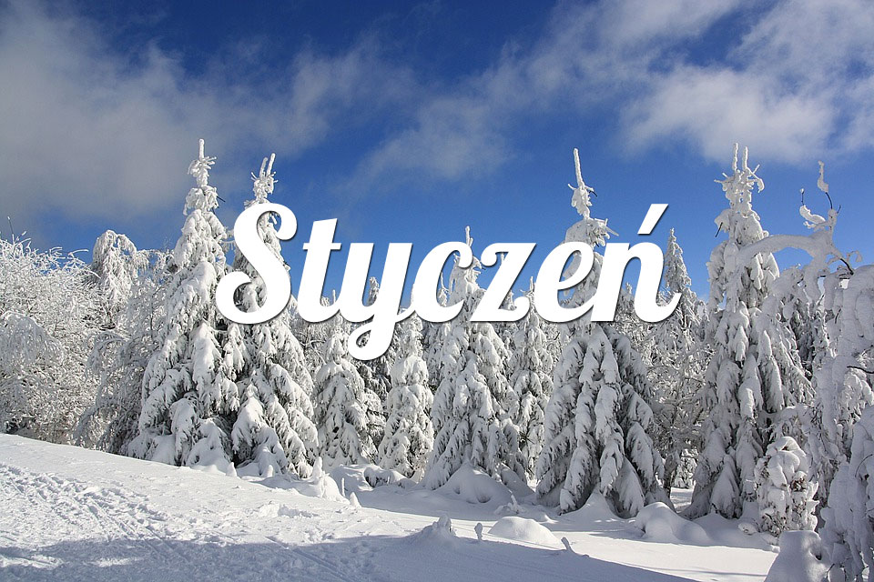 Byk Styczeń 2025