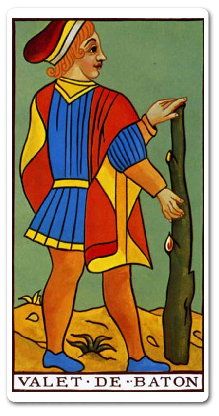 tarot Wodnik Maj